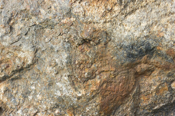 rock or stone texture background. texture of stone