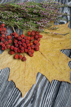 Yellow autumn maple leaves, a bunch of dry heather and dry rowan berries. On pine boards painted black and white.