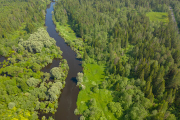 Fototapeta na wymiar High angle flying above river in deep forest, Moscow area, Russia