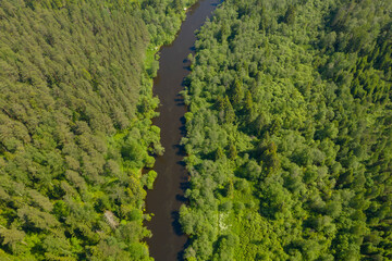 High angle flying above river in deep forest, Moscow area, Russia