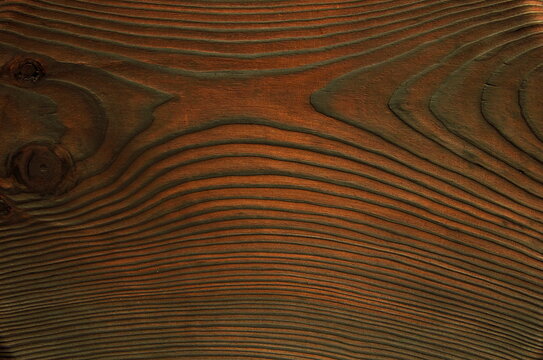Beautiful piece of natural  dark wood - texture with horizontal lines in black and brown tones, annual rings, close up