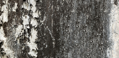 Peeling paint on old wall. Panoramic pattern of rustic grunge material background