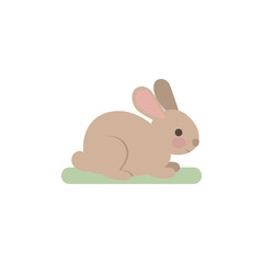 easter bunny with a white background