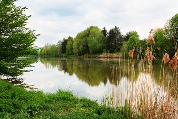 Early evening by the pond. East Moravia. Czechia. Europe.
