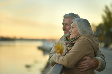 Fototapeta premium Portrait of smiling senior couple posing in park