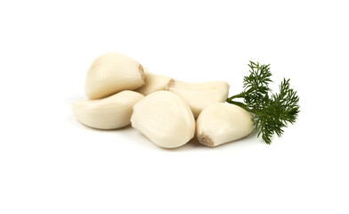 peeled garlic cloves and a sprig of dill close up on a white isolated background