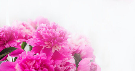 Obraz na płótnie Canvas Background with pink peonies. Flower card