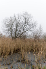 De Hoge Dijk park in Amsterdam, The Netherlands