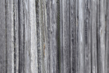 Obraz premium Fence of boards in defocus as background or texture.