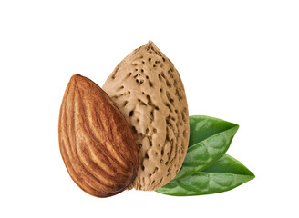 Almond nuts isolated on white background
