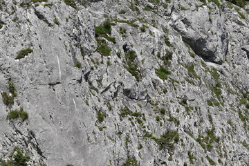 Felswand als Hintergrund