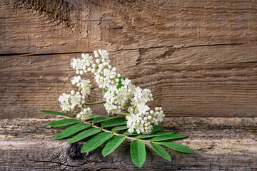 white flowers on a textured wooden background