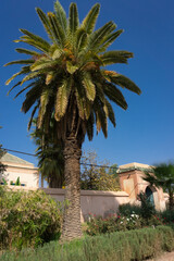 Fototapeta premium Menara Gardens and lake in Marrakech