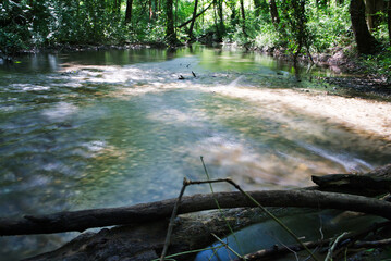 Ruisseau