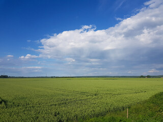 Fototapeta na wymiar Beautiful scenery of a green grassy land under a cloudy sky
