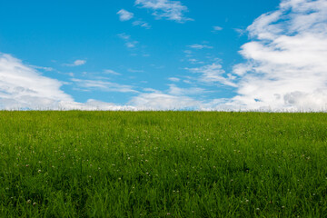 Obraz premium Paysage 
