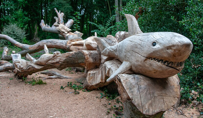 Tree carving