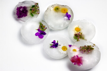 Frozen Flowers in Ice on white background.