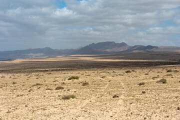 Naklejka na ściany i meble Barlovento desert area, Fuerteventura, Canary Islands. High volcanic mountains in the background. 