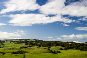 Fototapeta na wymiar Wide Open - Clouds and bright green rolling hills are pumped up by rains. Napa County, California, USA