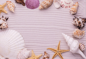 Starfish and seashells on dune sand. Top view Vacation background.