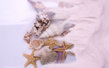 Starfish and seashells on dune sand. Top view Vacation background.