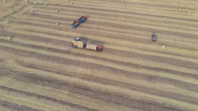 Aerial shot of a hay tractor collecting and loading hay bales in a beautiful Italian landscape with wind turbines in the background