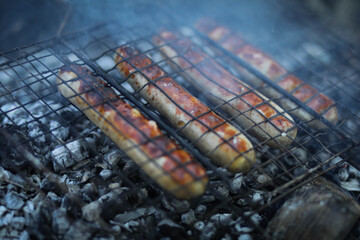 sausages are grilled on the grill, barbecue in nature