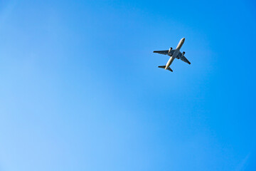 飛行機