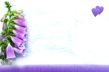 Lilac fox glove on the side of a white card, lilac stripe on the ground, two lilac hearts on the top right corner. © Taucova