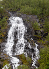 Fototapeta premium waterfall in the forest