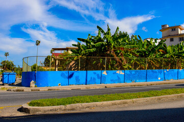 Fototapeta premium Architecture of Havana, the capital of Cuba