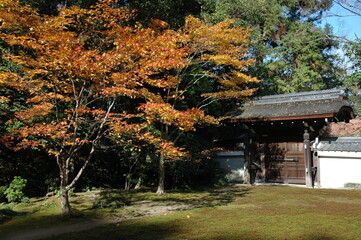 秋の京都