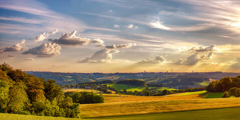 Velbert Langenberg Fields during the golden hour - Rural Landscape in Germany