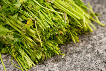 bio fresh green parsley leaves closeup