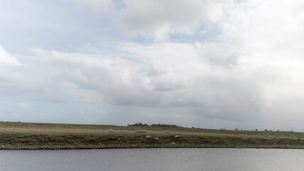 Landscape in Groningen, The Netherlands