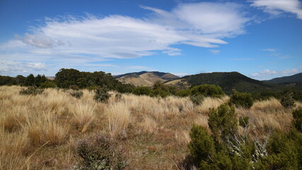 takitimu track view of sky