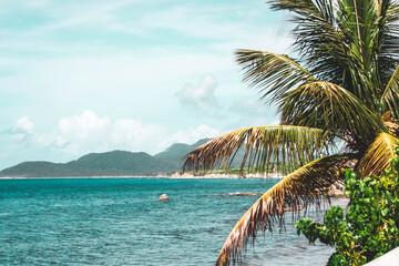 Obraz na płótnie Canvas Vieques View