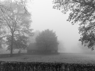 Black and White pictures of Rheeze, Overijssel, on a misty day