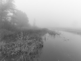 fog on the river
