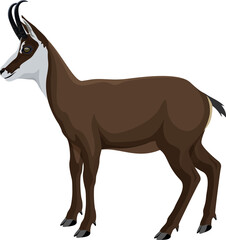 vector wild animal chamois illustration