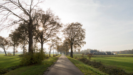 A road in the municipality of lochem