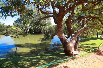 Parks and Gardens of Buenos Aires City