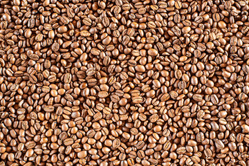 Kaffeebohnen