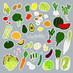 vegetables flat illustration vector icon