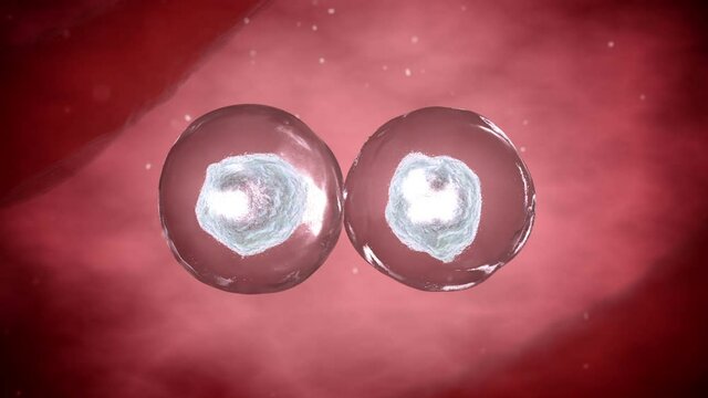 Human DNA cells. Realistic 3d animation