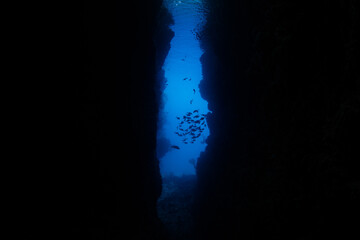 Blue light seeps into the darkness of a submerged crevice in an island in the Solomon Islands....