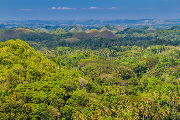 Fototapeta na wymiar Geological formation The Chocolate Hills on Bohol island, Philippines