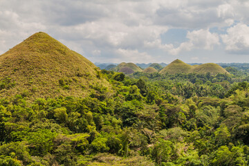 Geological formation The Chocolate Hills on Bohol island, Philippines