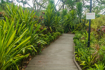 Path in Singapore Botanic Gardens.